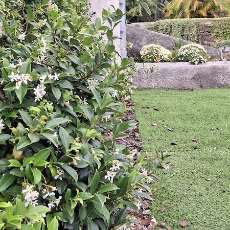 Moradia Stephanie Funchal  Exteriör bild