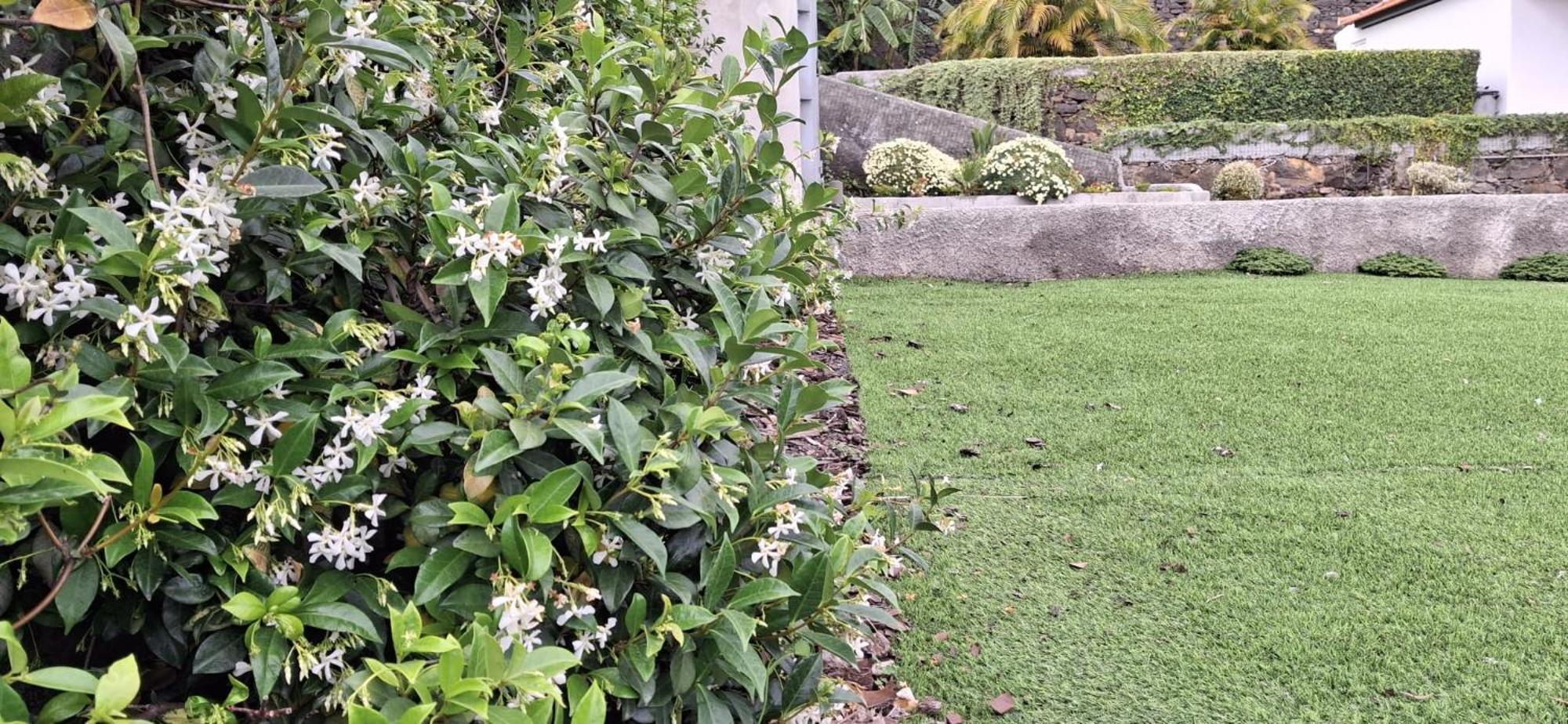 Moradia Stephanie Funchal  Exteriör bild